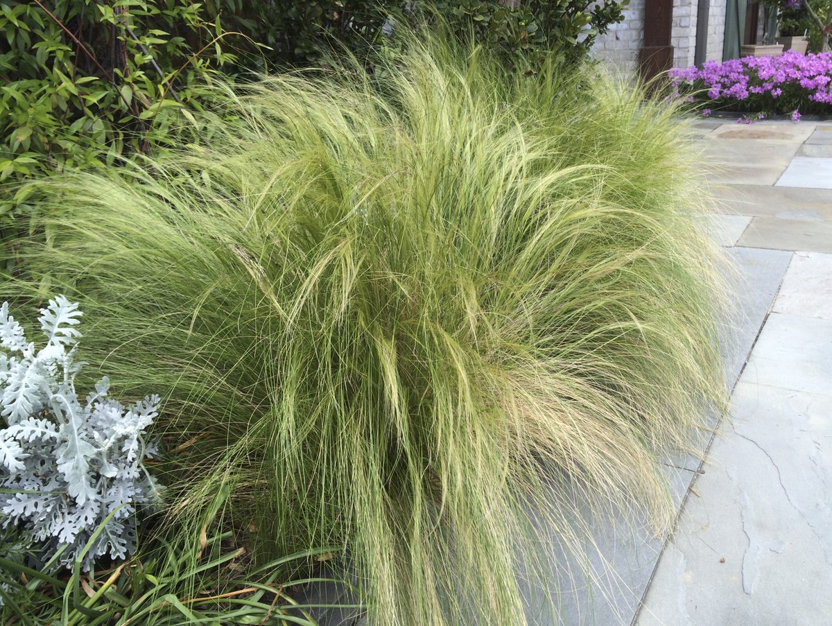 Hoffman Nursery tweet media