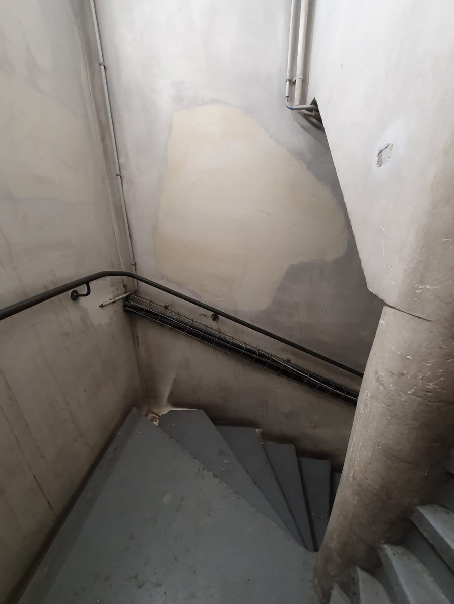 Cave Brute tweet media