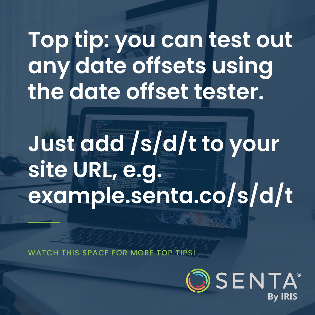 Senta By IRIS tweet media