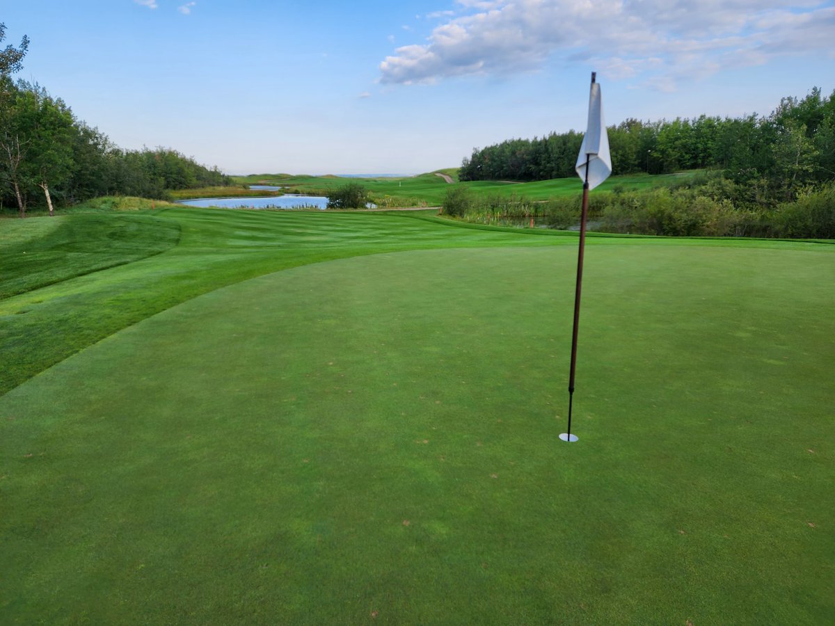 Day 2 of the Alberta Open today. Let's hope the wind stays down so we can see some low scores.
