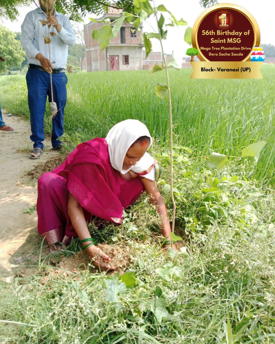 DSSNewsUpdates's tweet photo. Taking each step as per guidance of Saint Dr. MSG Insan, #DeraSachaSauda volunteers not only plant trees, but also continue to nurture them as their own children. The dedicated volunteers are celebrating MSG Bhandara by planting more trees!

#TreePlantation #SaintDrMSG #56thBirthdayOfSaintMSG #56thBirthdayWithTreePlantation #15thAugust