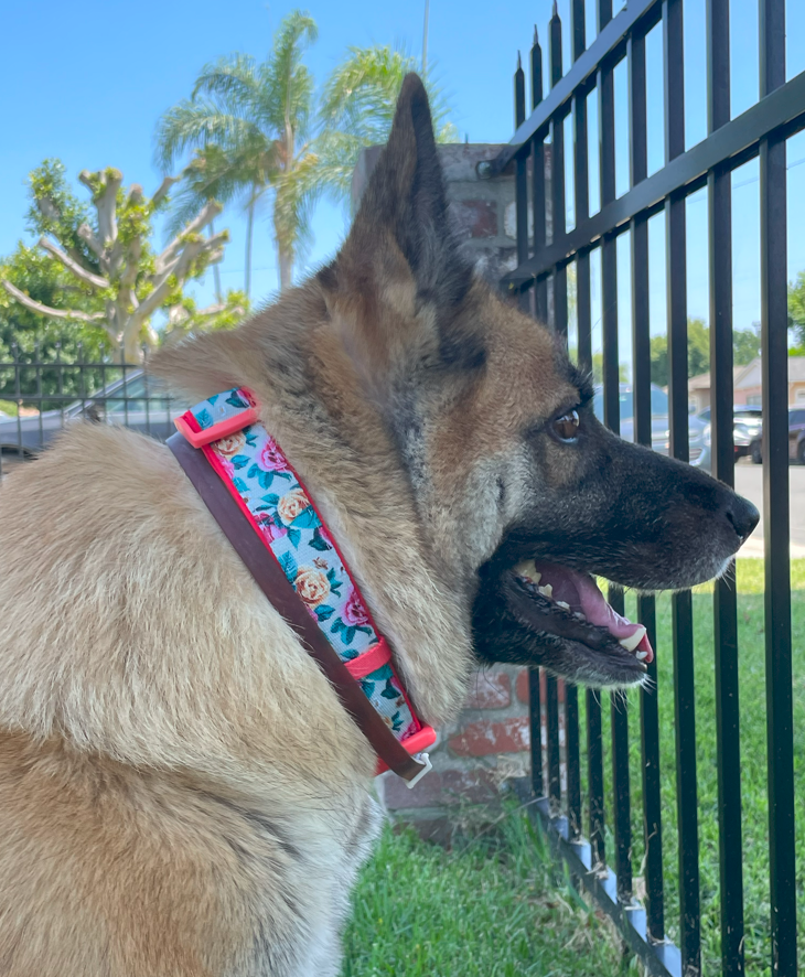 PetANtastic's tweet photo. This collar definitely has Shadow in the BARBIE ERA🩷 Link in bio!
#pinkwednesdays 

#pettastic #petantastic #smallbusiness #happywednesday #onwednesdayswearink
#barbierera https://t.co/pmTVLllBFc