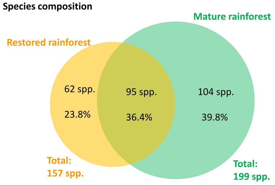 davidtng's tweet photo. Although the structure of the restored forest was approaching that of mature forest, there is still a bit to catch up in terms of species richness. Promisingly, we did see seedlings of various rainforest species that were not originally planted in the restored sites. https://t.co/QAKKQ7fRrE