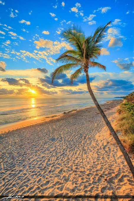 ViralTodayX's tweet photo. Sunset Beach 💙🌴