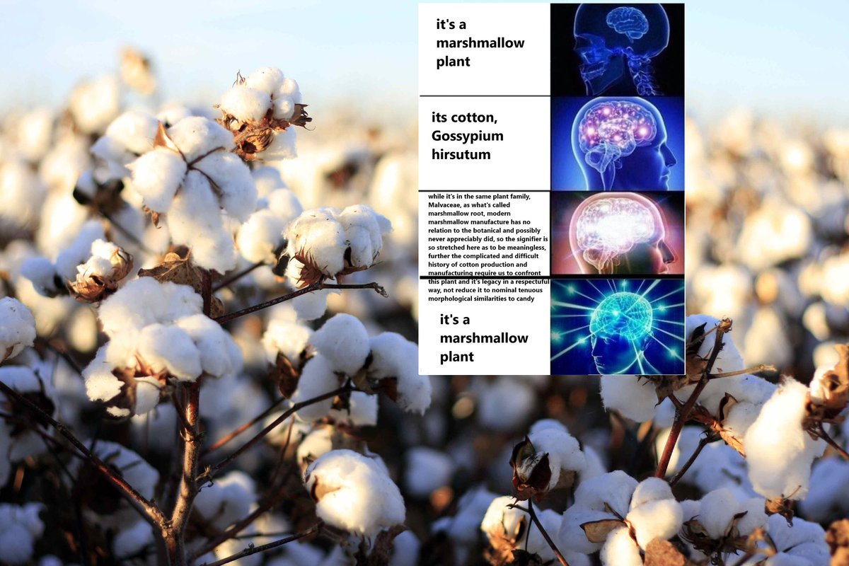 Botany Shitposts tweet media