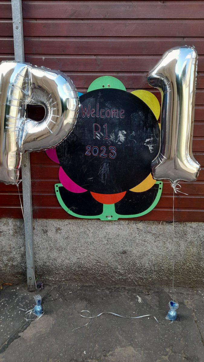 Bearsden Primary tweet media