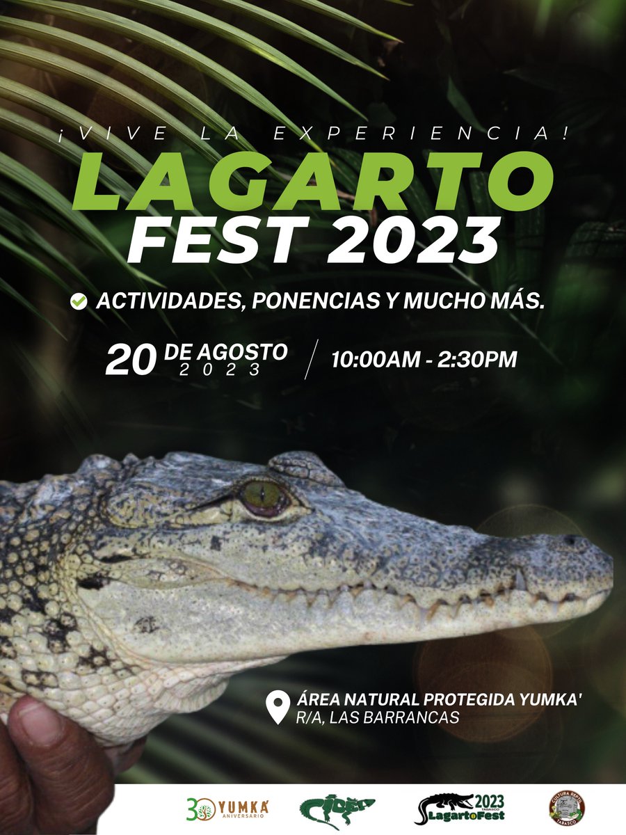 Lagarto Fest #2023 🐊 ¡Viva la experiencia! este 20 de Agosto