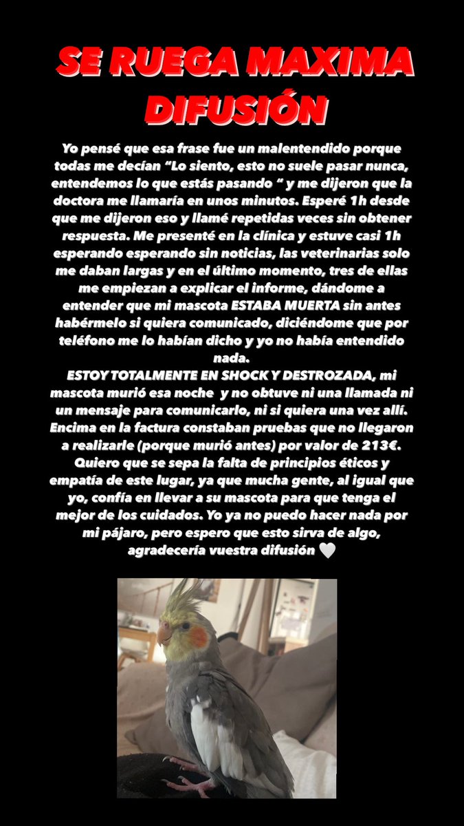 SelenaCastroM's tweet image. hola, la mascota de mi amiga el otro día se murió de la peor de las maneras en el hospital veterinario DRL (Elche), os dejo por aquí toda la información. Le gustaría que esto se difundiese todo lo posible, ya que no se hacen responsables de nada