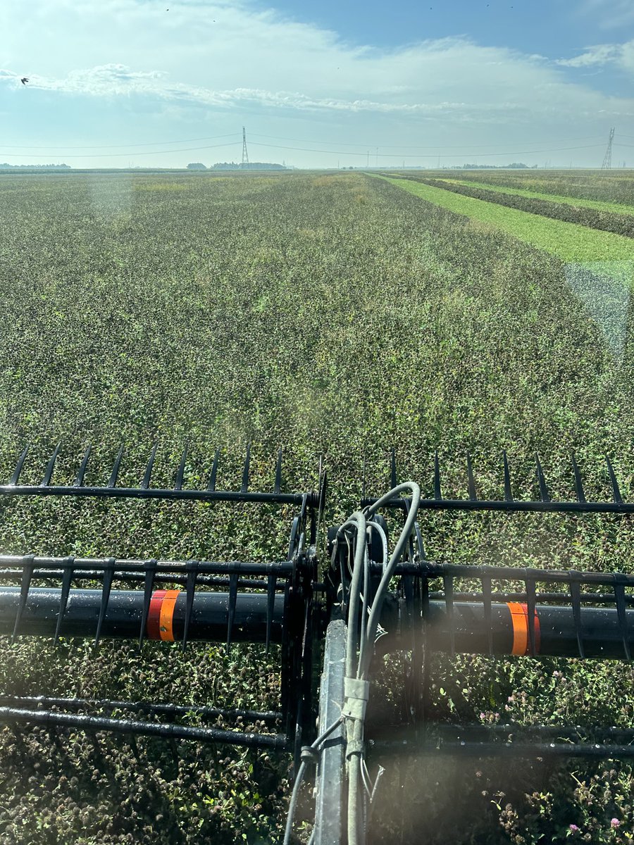 Lloyd Grenkow tweet media