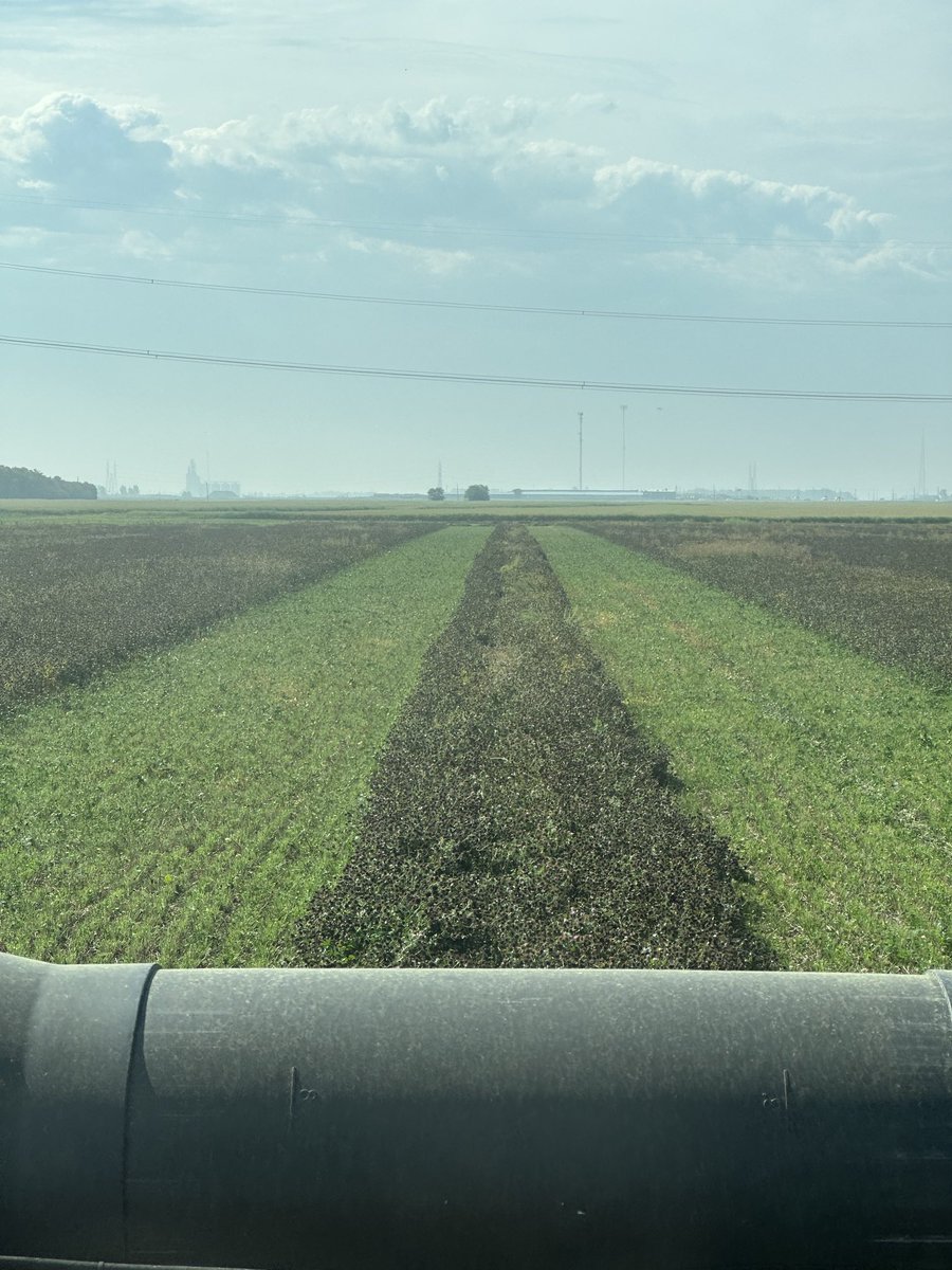 Lloyd Grenkow tweet media