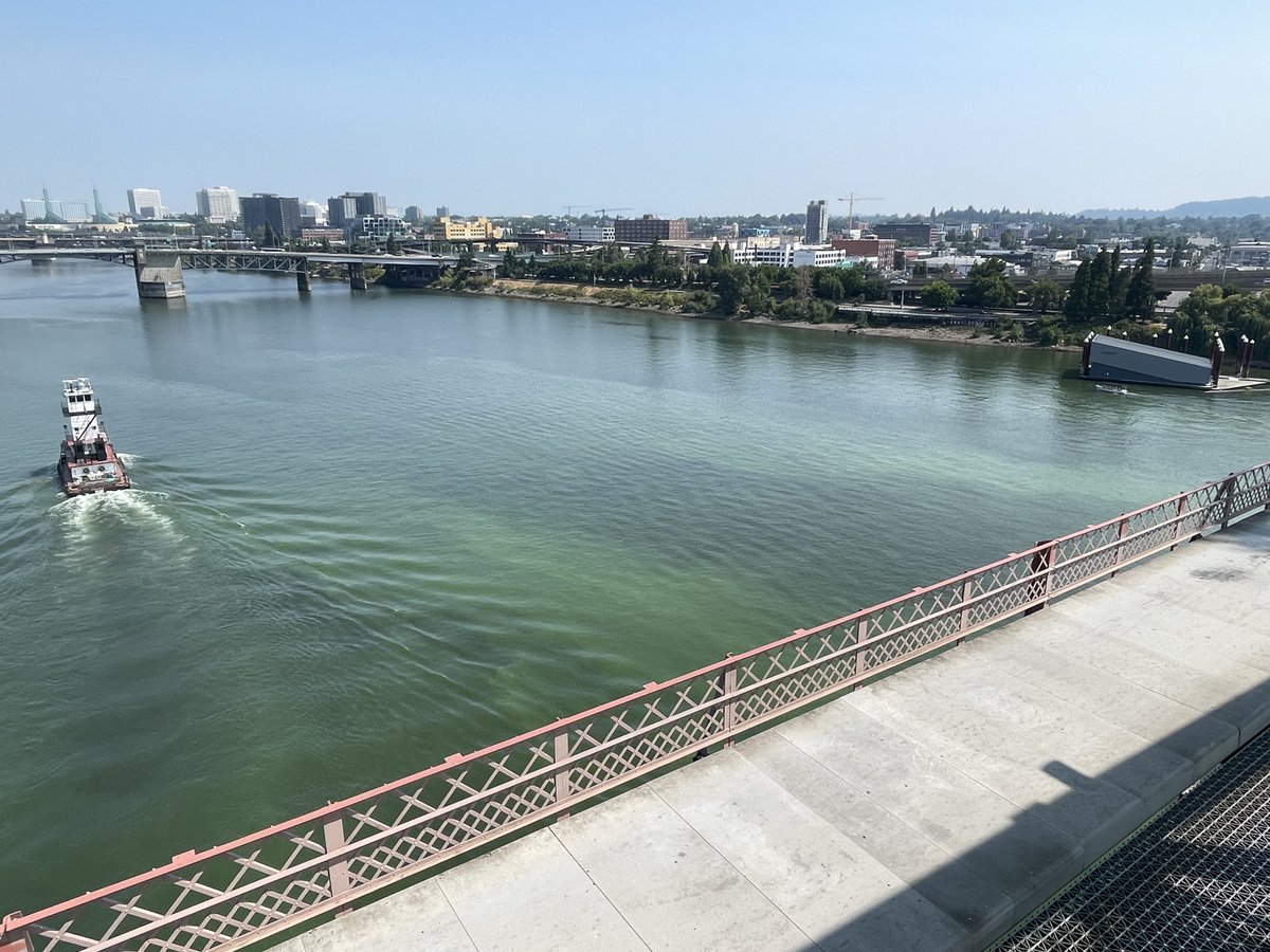 multco's tweet image. ALERT: @OHAOregon’s toxic algae health advisory now includes all areas north of Ross Island Lagoon to Cathedral Park. Don’t swim/play in water &amp;amp; keep pets away. Don’t drink water even if boiled. More alerts on Sauvie Island too: tinyurl.com/e7pa5wkz