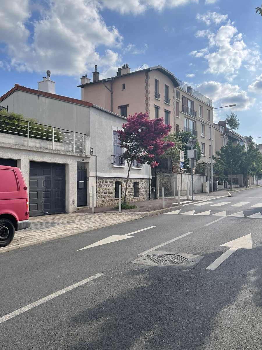 CharlesMirman's tweet photo. Ce bel arbuste du bas de l’avenue Brossolette a bien plié lors des 2 derniers orages. Si la @Issylesmoul pouvait éviter qu’il ne rompe …! @ASantini_Issy (il est près de la camionnette rouge qui est quasiment toujours sur le trottoir)@sguende https://t.co/5TOUF8GrKl