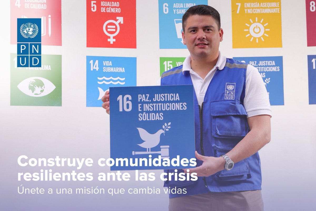 PNUDSV's tweet photo. ¡Únete a la misión que cambia vidas! 
Aplica a la posición: Head of Solutions Mapping del #PNUDSV

🗓️Fecha límite: 7 de septiembre 2023
🔗Mira la descripción del puesto y aplica aquí: https://t.co/s84sWTi5Ng https://t.co/EcvAmSiqia