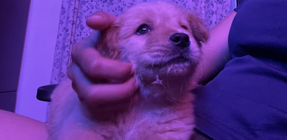 kchnn04's tweet photo. mami misses u a lot, my baby kanji. 🤍 https://t.co/wM7y4pBA0w