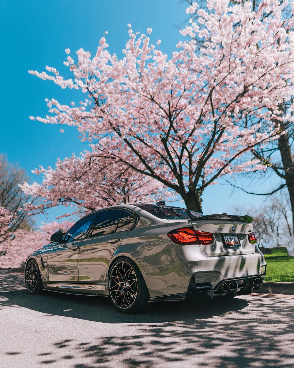MPower_Daily's tweet image. BMW M3 F80 🌸✨