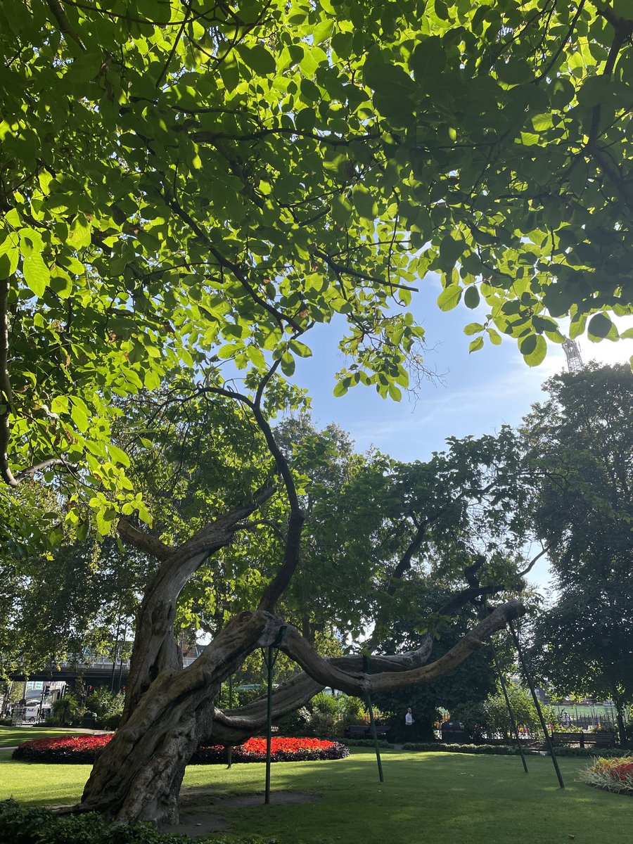 Pausing for a moment to enjoy the sunshine on my way to work this morning - I’m doing a crisis training refresher this week. Hoping not to need it, but best to be prepared. They say 90% is in the preparation.