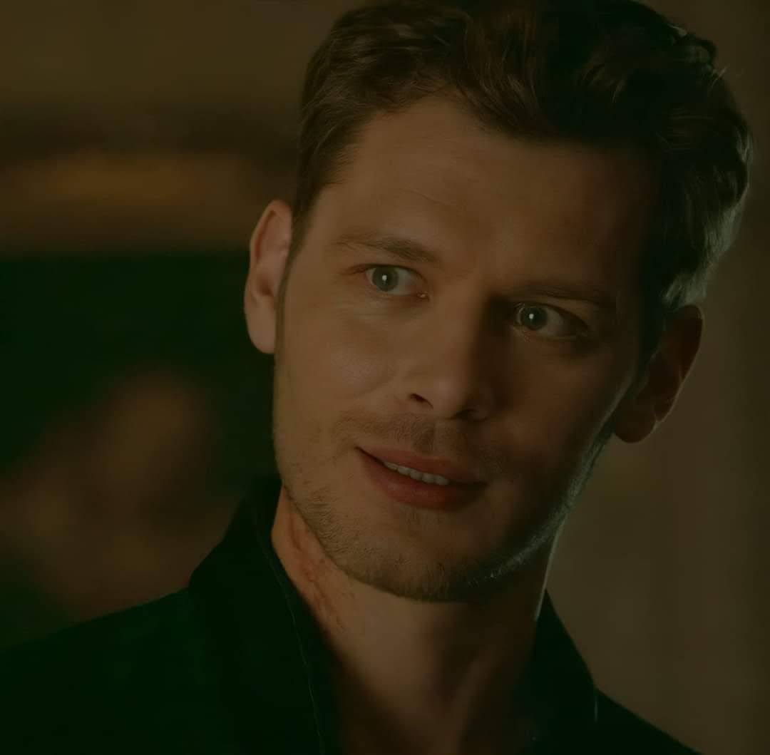 klajosephfavs's tweet photo. ���| TOP GATOS DO UNIVERSO DE THE VAMPIRE DIARIES (TVDU)

01.🥇 Klaus Mikaelson https://t.co/56BTejtwGD