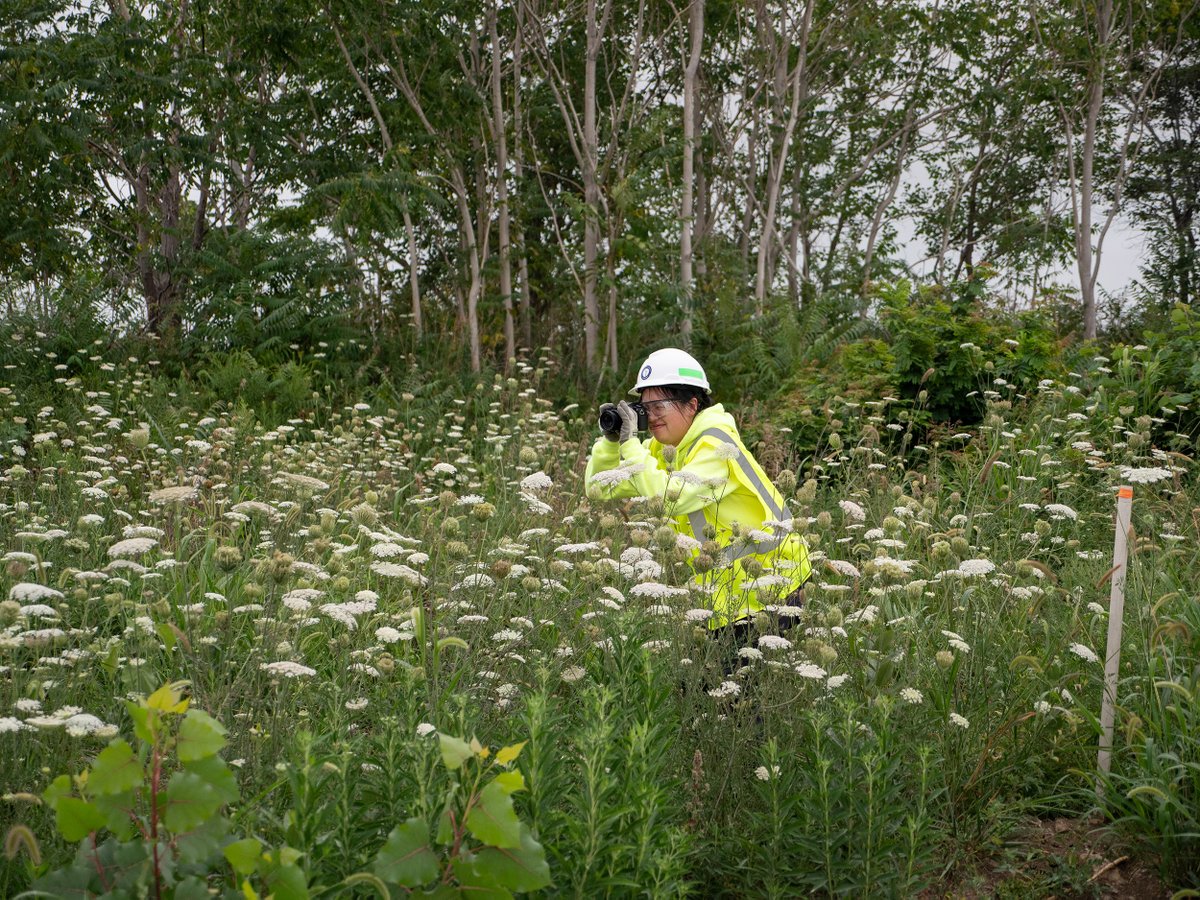 onepowerco's tweet photo. My name is Sophia Li. I’m a field engineer intern here at OE. I’ve been given the unique opportunity to rotate through different departments, like Storytelling. Here I am, in the weeds, taking a photo. I’m grateful for the opportunities to work hands-on with each team! #windview https://t.co/AMdQiz8vPi
