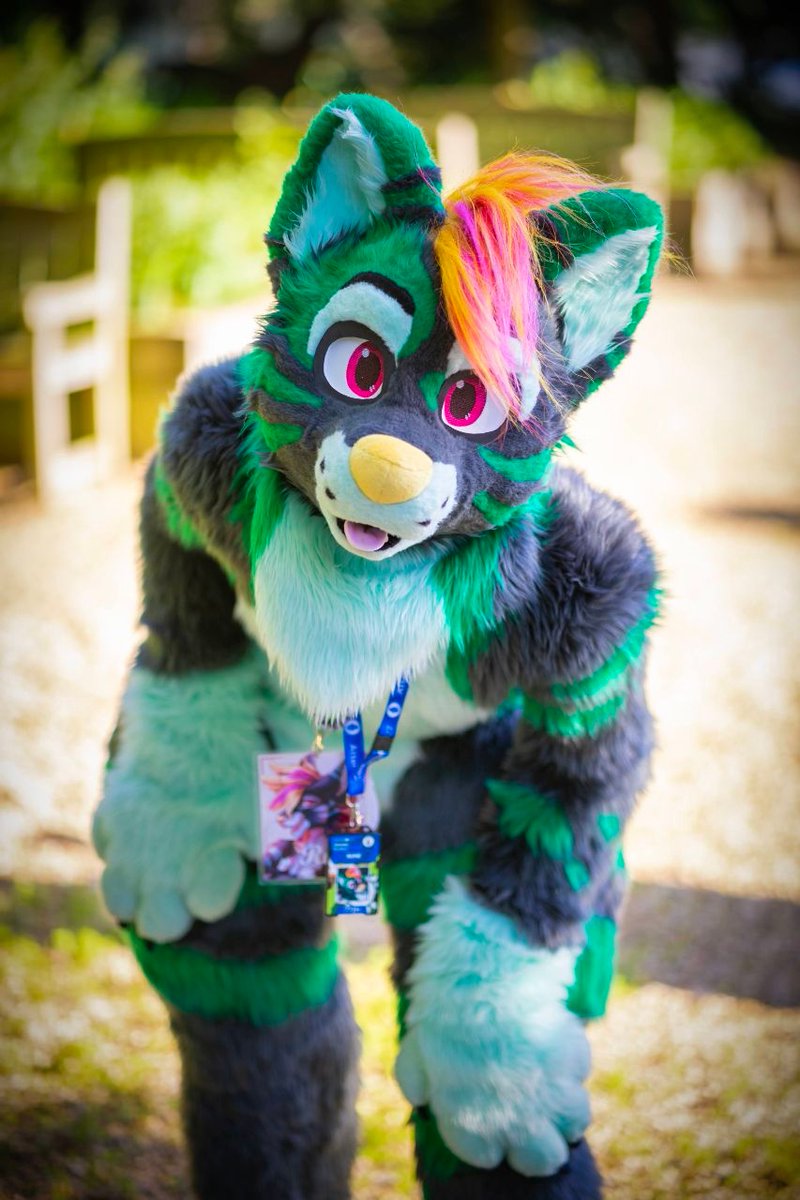 GeekRetreatFurs's tweet photo. Our next #EssexFurs, is our resident Chaos Dog, @RunicArmasaur! 💚🧡

Are you an Essex Fur? Tweet @ us with some of your favourite photos (don't forget the photog/artist credit!) and we'll feature you on our page!

📷: @Joseph_Leeder, @FENNERGY, @TigTibbsy &amp; @_hobber #fursuit https://t.co/cMd9jyy1HR