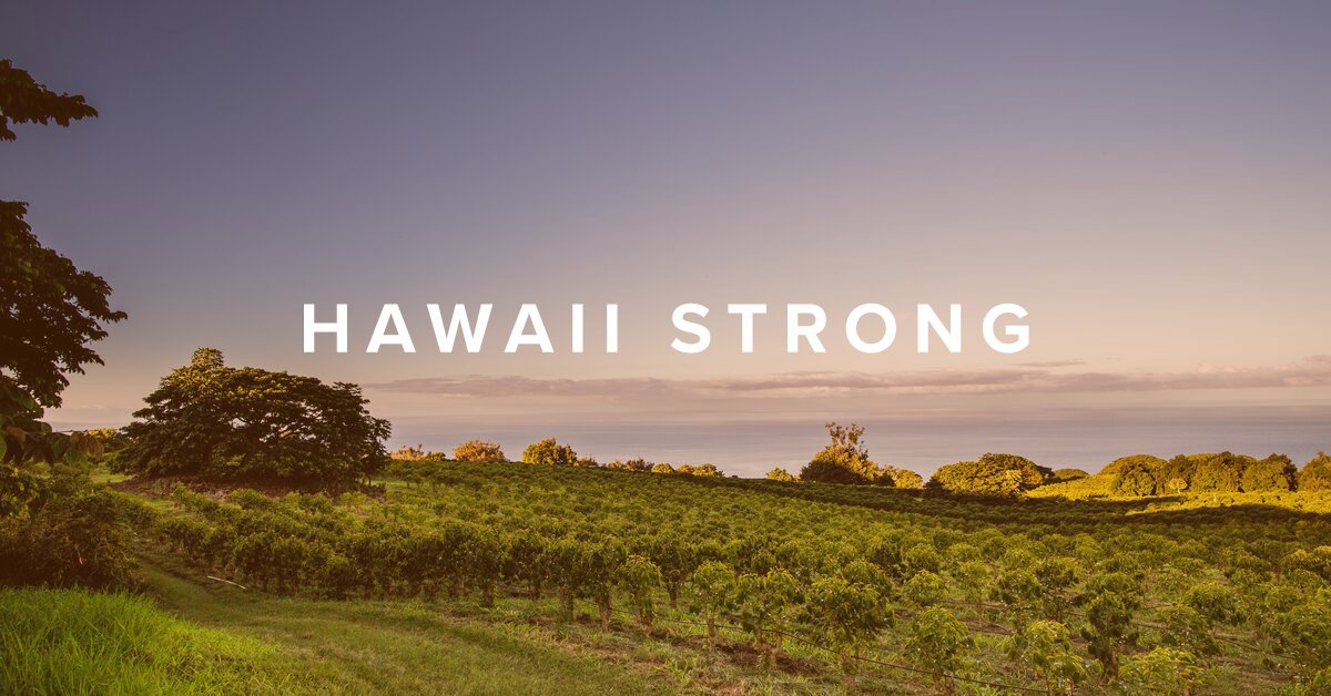 AmericanAg's tweet photo. Our hearts go out to all those affected by the wildfires in Hawaii. We are proud to be part of this resilient, compassionate and strong community.

We have committed our support to the @MauiFoodBank as they work to provide assistance to those in need. https://t.co/eyLO0DkCMm https://t.co/kKyWYwRSs1