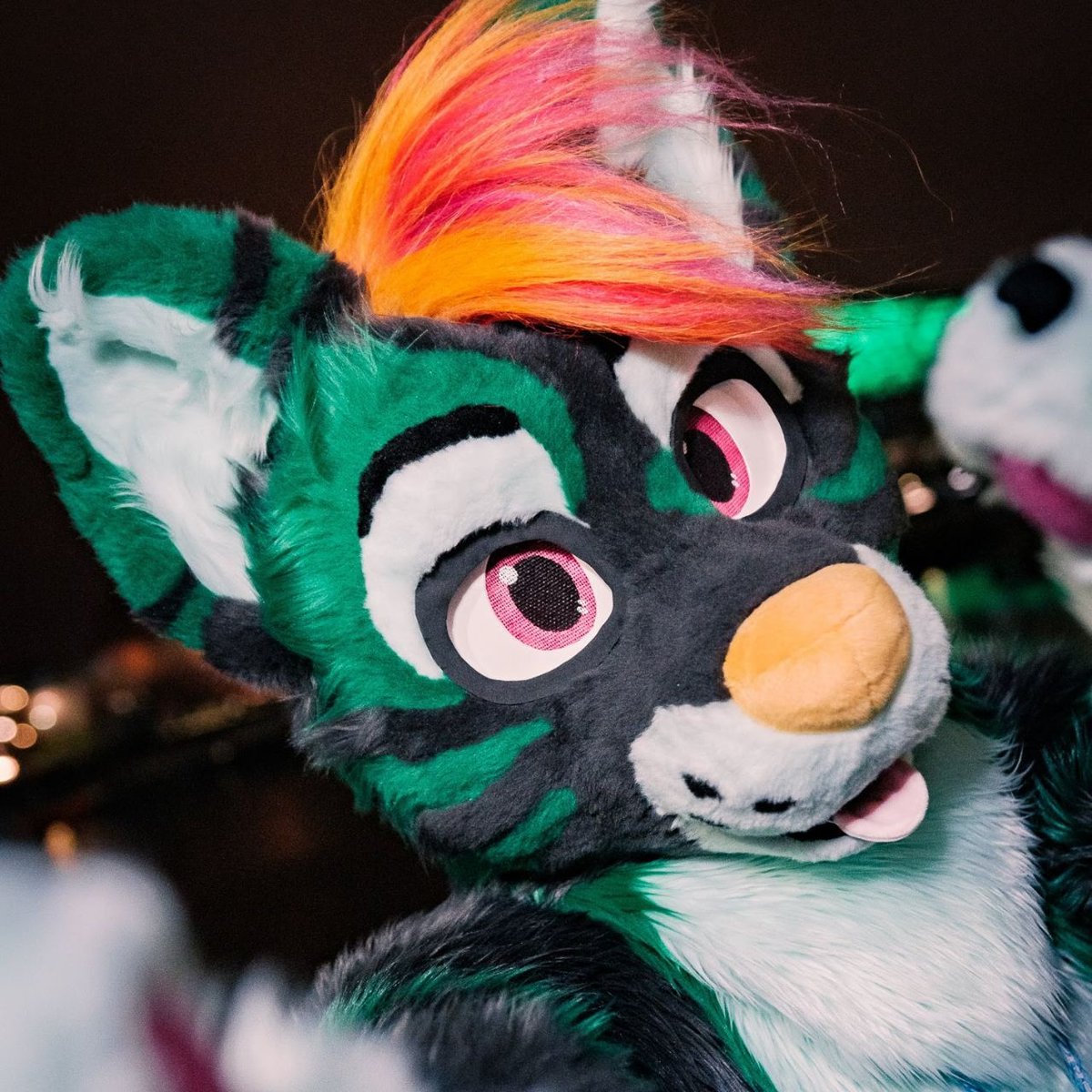 GeekRetreatFurs's tweet photo. Our next #EssexFurs, is our resident Chaos Dog, @RunicArmasaur! 💚🧡

Are you an Essex Fur? Tweet @ us with some of your favourite photos (don't forget the photog/artist credit!) and we'll feature you on our page!

📷: @Joseph_Leeder, @FENNERGY, @TigTibbsy &amp; @_hobber #fursuit https://t.co/cMd9jyy1HR