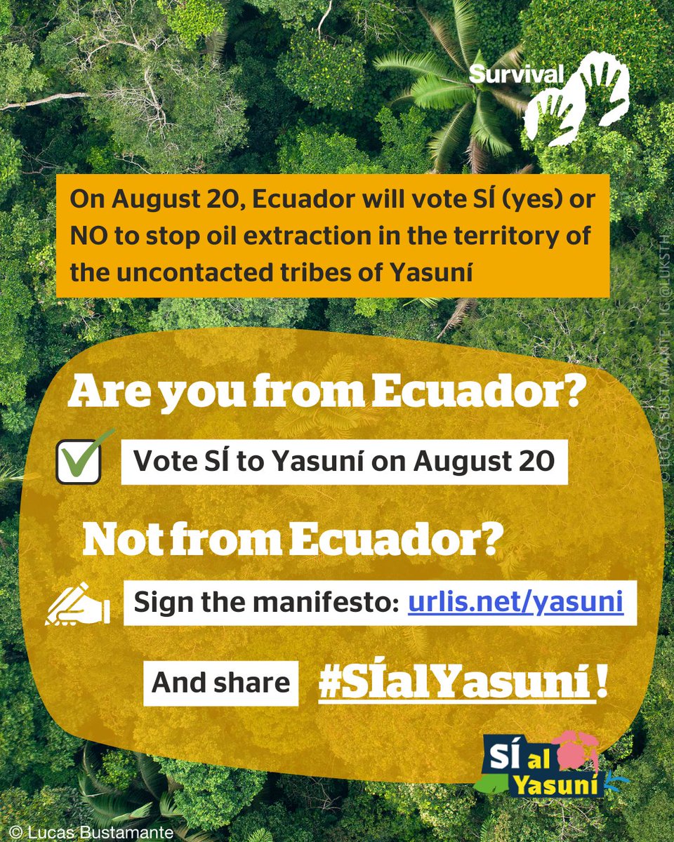 The Tagaeri, Taromenane &amp; Dugakaeri are the #UncontactedTribes who've been living in &amp; caring for #Ecuador’s Yasuní National Park for generations. Their territory is now under threat from oil.

⚠️ But destruction, disease &amp; violence brought on by outsiders could wipe them out.