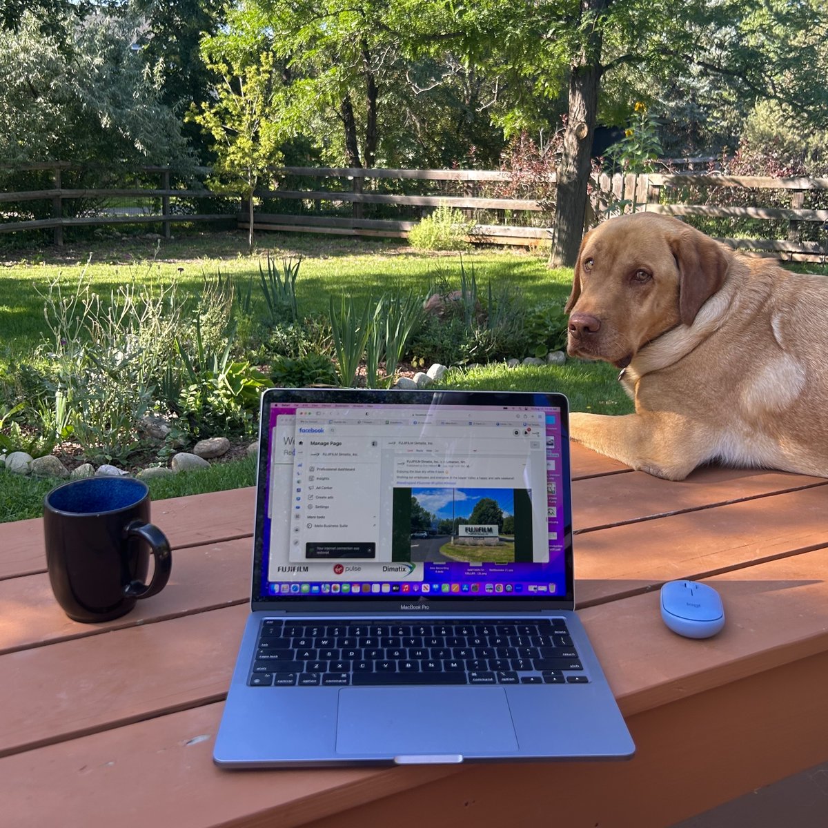 Of all the work-from-home perks, spending time with pets might just be our favorite 😉 🐾

#RemoteWork #BehindTheScenes #Marketing