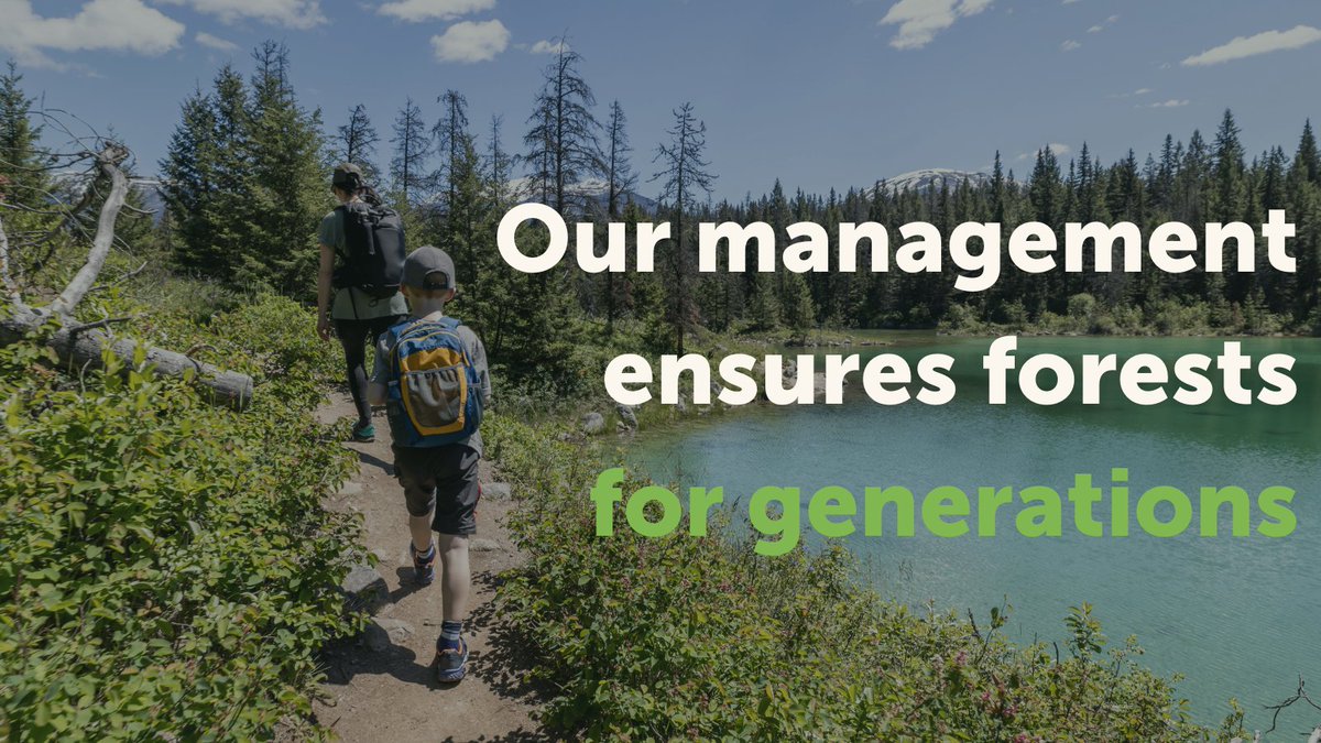 albertaforests's tweet photo. Alberta #forest companies plant more trees than they harvest, with over 100 million #coniferous trees planted each year! We have planted nearly 2 billion trees in the past two decades, ensuring our forests can be explored for generations.💚🥾#Forestry #AlbertaForestry #Sustainablity