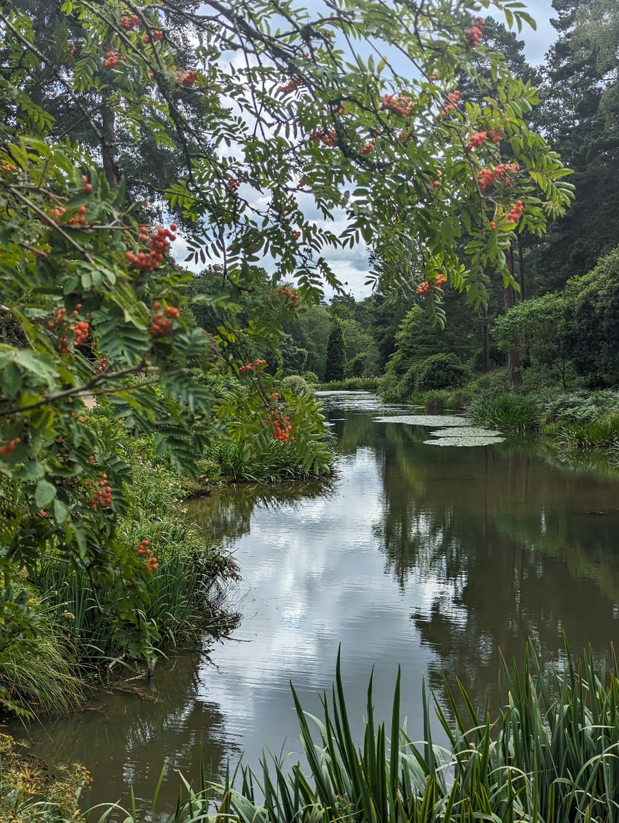 Mother Nature's summer gown is rather stunning don't you think? Foliage in all shades of green, reflective calm waters and blue skies dappled with white clouds. Just beautiful... 😍 #leonardsleegardens #lakes #westsussex #placestovisit