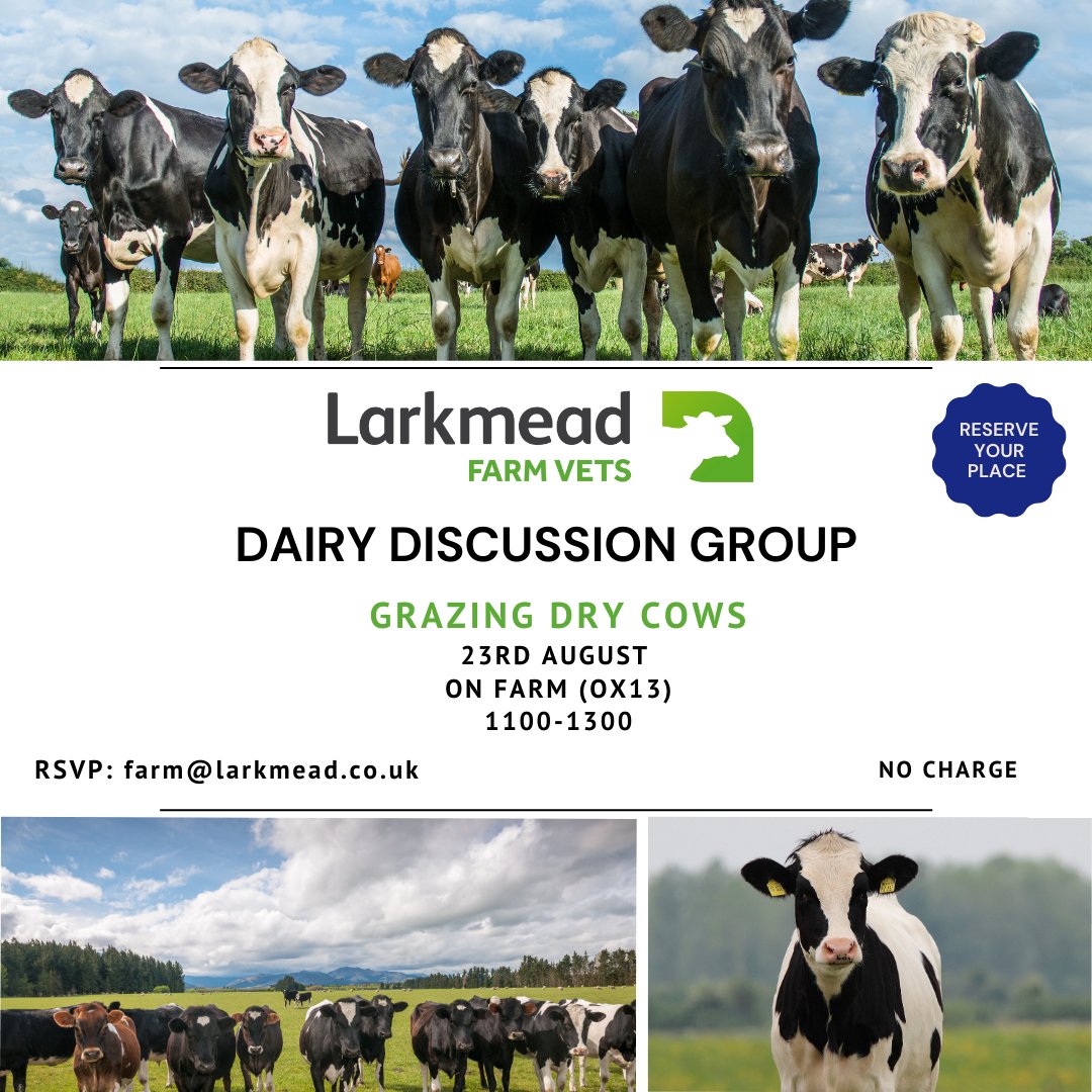 Join Vet Bella next week to discuss Grazing Dry Cows including paddock management, body condition and mastitis at our next Dairy Discussion Group. Full details: larkmead.co.uk/farm-vets/news…