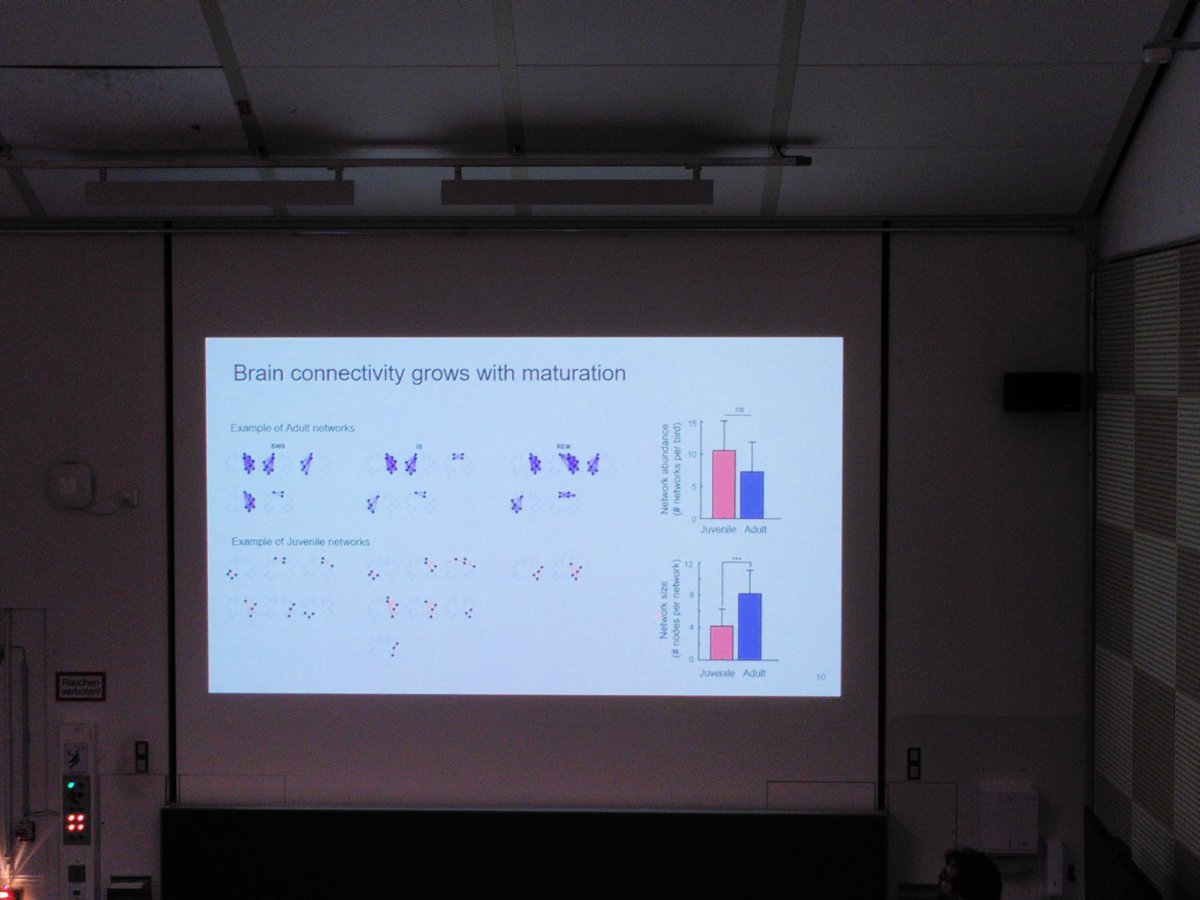 LateraLiterally's tweet image. Hamed Yeganegitalked about "Mammalian-like developmental changes are present in the neural signatures of avian sleep" #Behaviour2023 nice to see the development of hemispheric asymmetry in zebra finch 🤓 #laterality
