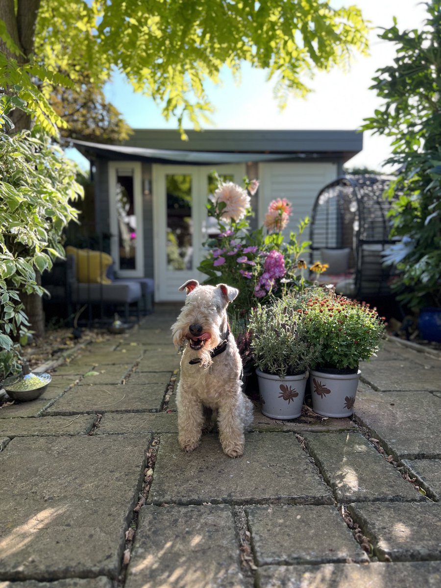 Good evening everyone 💋