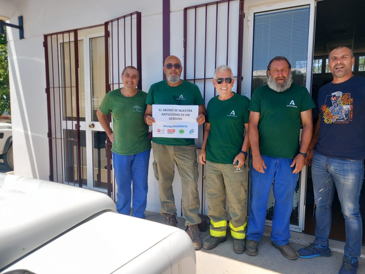 CCOO AMAYA tweet media