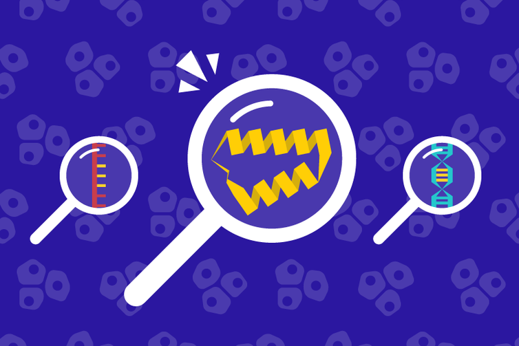 Science in Boston (@scienceinboston) on Twitter photo In three new studies, researchers at <a href="/broadinstitute/">Broad Institute</a> & <a href="/Harvard/">Harvard University</a> discover ways in which proteins are involved in common cancer processes found in many cancer types.
💡 These studies may help find new cancer drug targets and predict treatment responses!
🔗 bit.ly/3QLLyMW In three new studies, researchers at <a href="/broadinstitute/">Broad Institute</a> & <a href="/Harvard/">Harvard University</a> discover ways in which proteins are involved in common cancer processes found in many cancer types.
💡 These studies may help find new cancer drug targets and predict treatment responses!
🔗 bit.ly/3QLLyMW