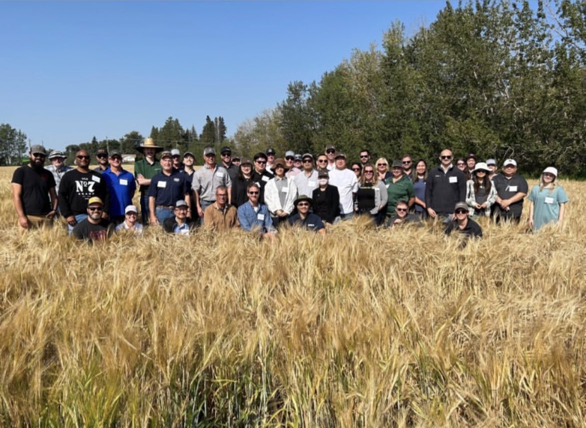 canadianbarley's tweet photo. We’re definitely becoming one with the barley this morning.

Thanks to John and Susie for their hospitality! 

1.AAC Connect 
2.CDC Churchill. 

#CropTour2023 #cdnag https://t.co/edItbuhYHZ