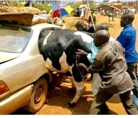 NBS, Balaam, Mwenda & Co. Pushing Muhoozi to the Presidential Material Class of Persons 😂