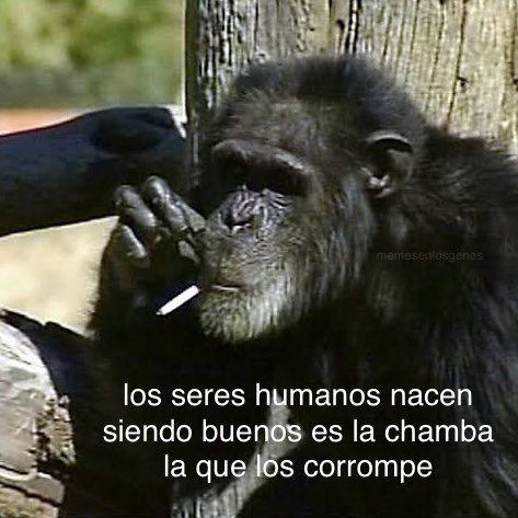 memesenlosgenes's tweet photo. https://t.co/nCDSFxF3dU