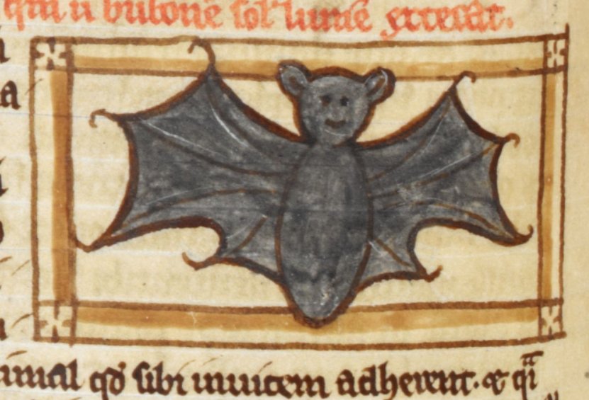 🦇A happy bat, found in a 13th-century manuscript.