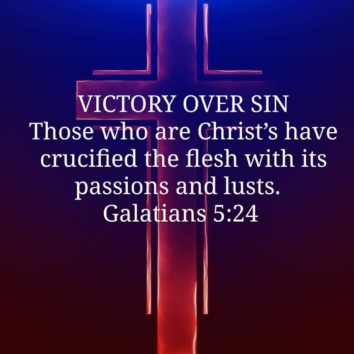 The fruit of the Spirit is love, joy, peace, patience, gentleness, goodness, faith, meekness, and self-control; against such there is no law.
Galatians 5:22-23