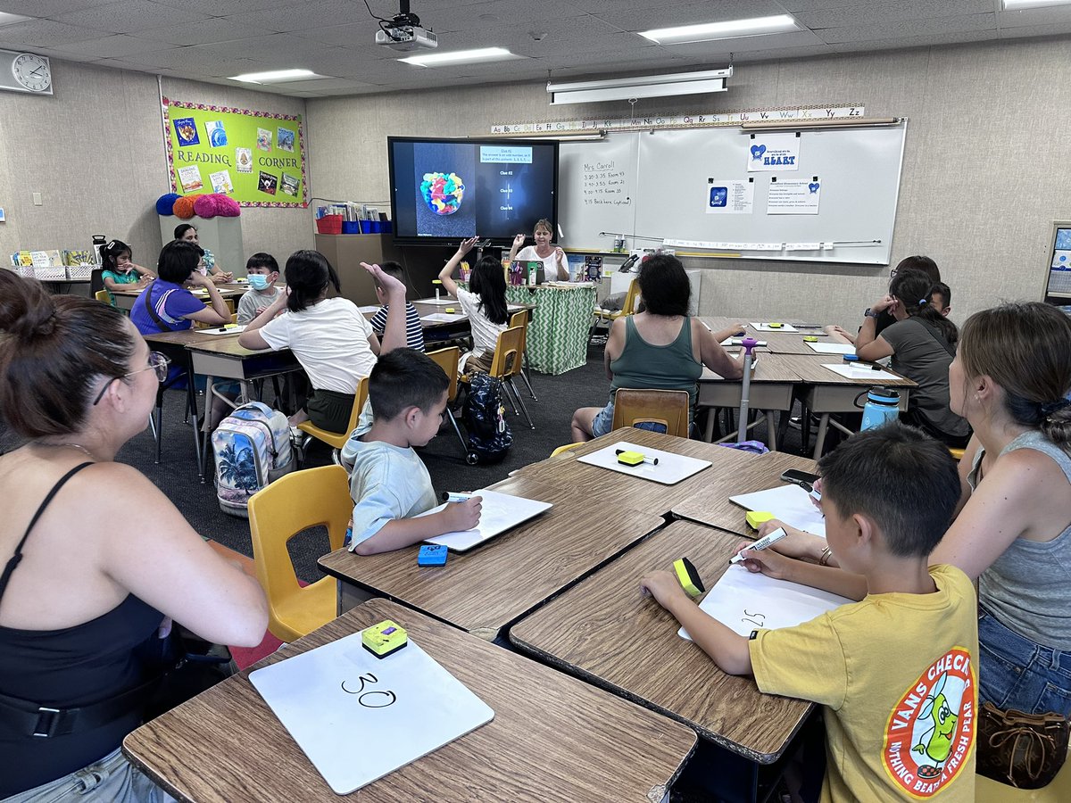 Chelsea Rhodes tweet media