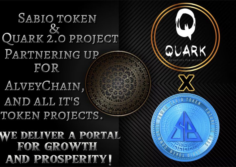 sabiotoken tweet media