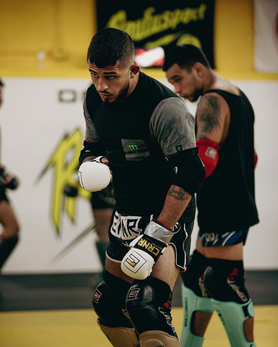 Wednesday’s are for sparring roufusport and breeding warriors. . . #roufusport #combatcorner #sparring #sparringday #breedingchampions