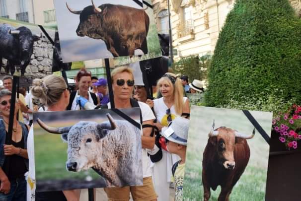 Bastet3413's tweet photo. @CaronAymericoff @adda26_07 #ColbacLaManif2023 
#stopcorrida @VilleDeBeziers #RMenard @BeziersColbac @susel
Le courage il est du côté de ceux qui luttent pour sauver des vies !
La couardise, elle est du côté  des minables tortionnaires ! https://t.co/WHkO2b0v8t