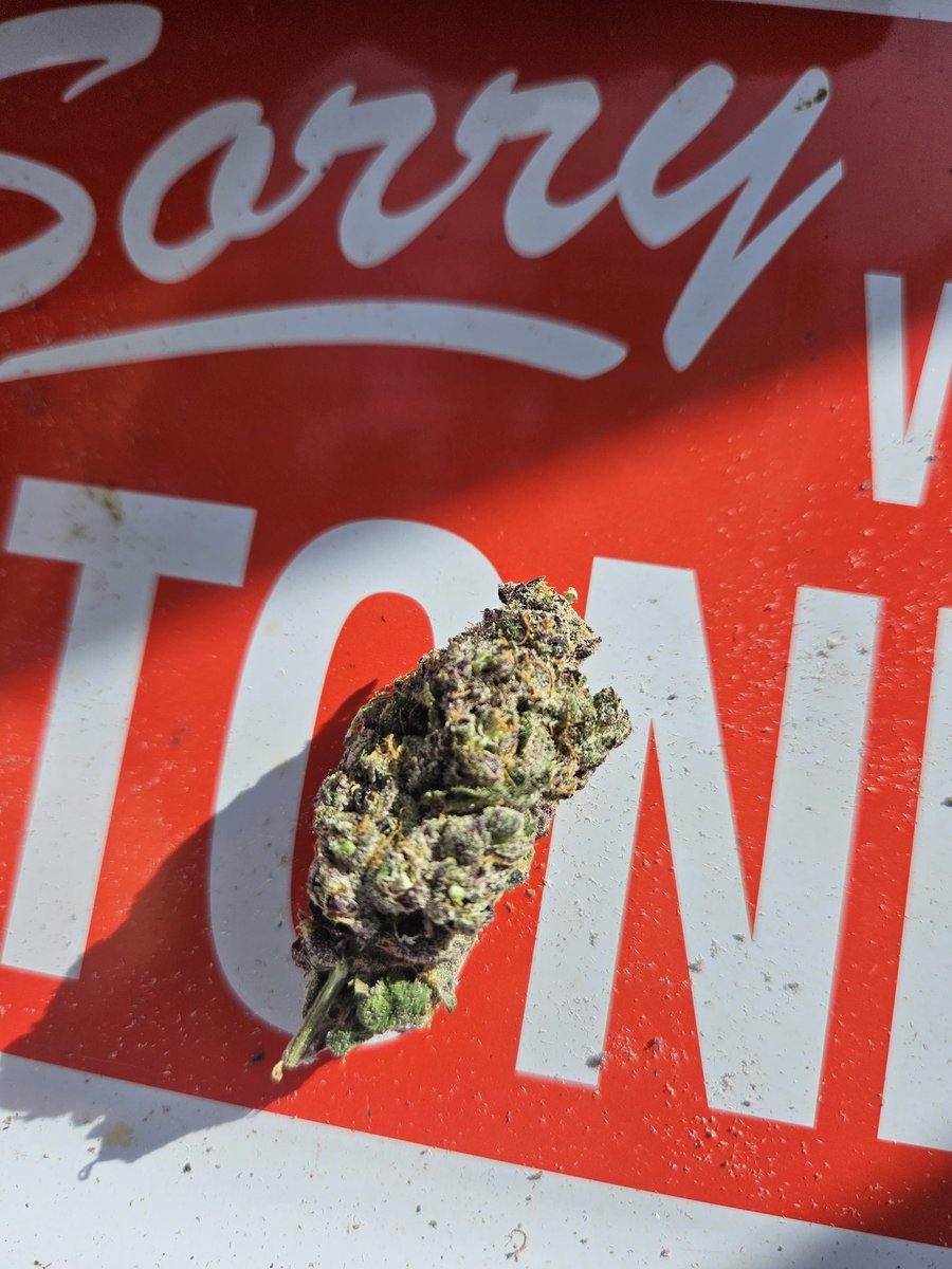 shisler671's tweet photo. @Glasto_ Wake n bake bowl brought to you by UltraBoof!
#stayIrie โค๏ธ๐ฅ๐ฑ๐จ https://t.co/FHrcNxifc5