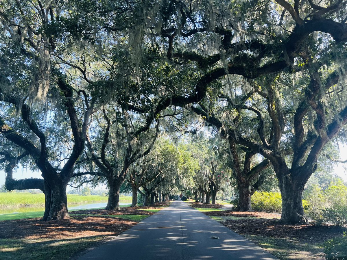 LymanCody's tweet photo. Bachelor party was a huge success.

Shout out to @CaledoniaGolfFi and @TrueBlueGolf  for making a golf weekend with the boys amazing! https://t.co/1RqZweE0rT
