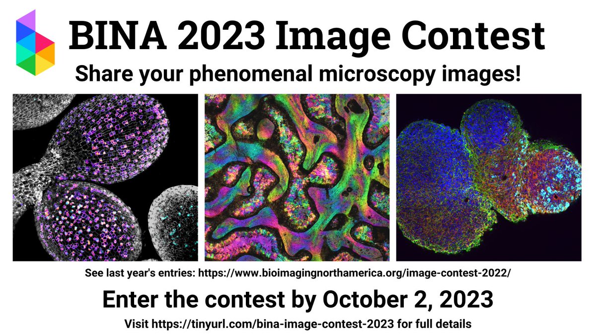 📢The BINA Image Contest for 2023 is now Open! 🔬

We're super excited to see your phenomenal microscopy images! 👀

Enter the contest by October 2 📅

Details here: tinyurl.com/bina-image-con…

#LightMicroscopy #Microscopy #SciArt #SciArtSeptember #BINAImageContest