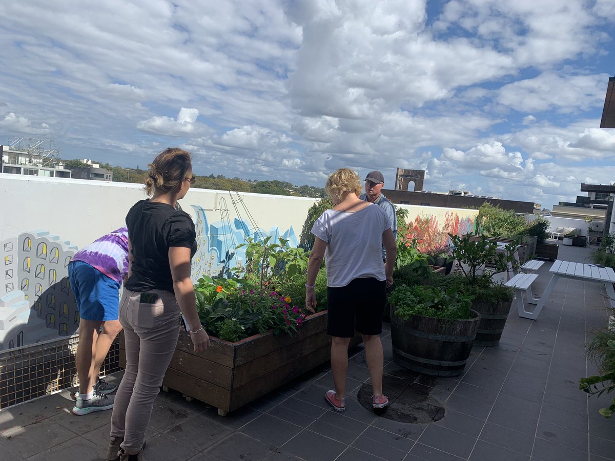 I feel very privileged to be included in this team of 26 academics from 10 countries! 

When we are faced with challenges in our own life's or in society we often turn to gardening.Read about it in our new open access article here:  doi.org/10.1016/j.ufug…