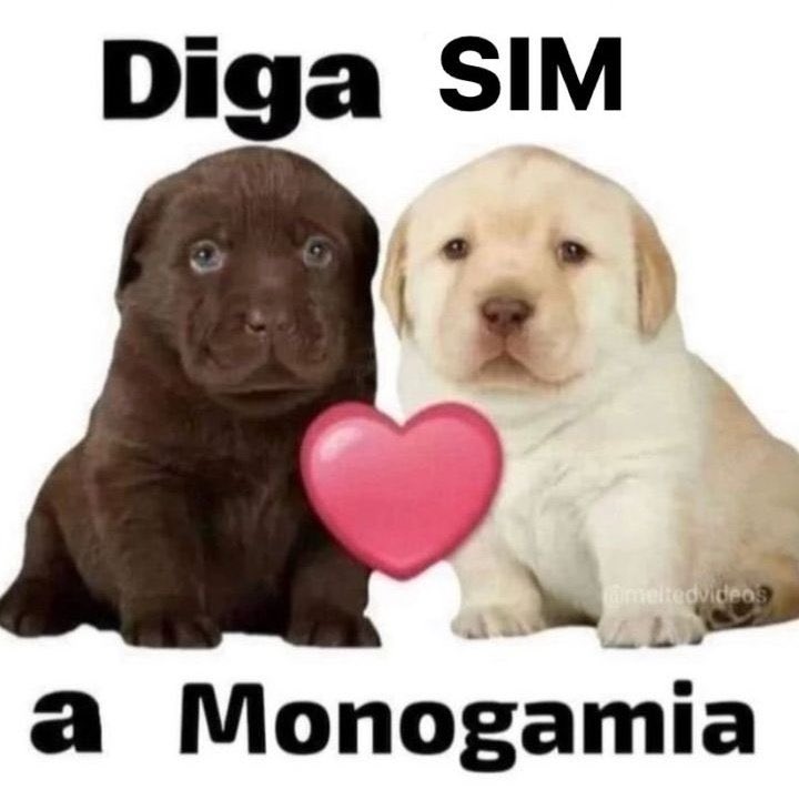 apaginaseria tweet picture