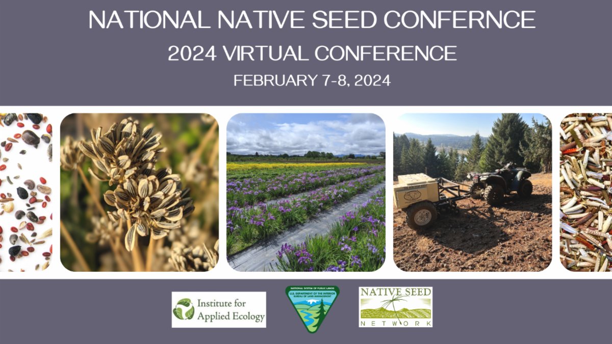 InfoInsr's tweet photo. Registration is now open for the 2024 virtual National Native Seed Conference!

https://t.co/RLYMVhAuJa https://t.co/0r3isGTYXA
