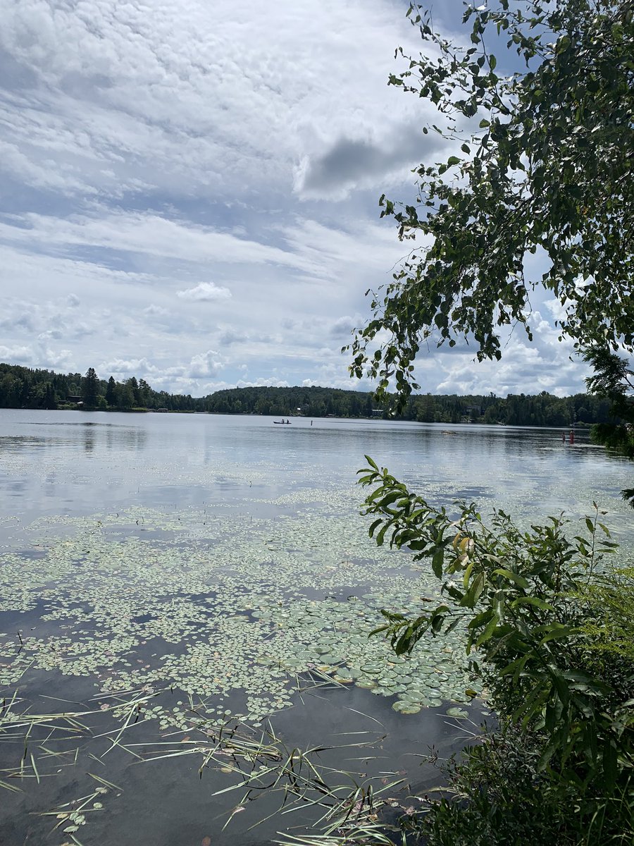 Beno Freedman tweet media